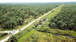 PGN pipa minyak rokan