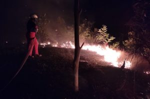 Kebakaran lahan di Tanjunguban, Bintan