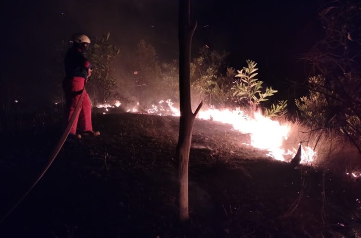 Kebakaran lahan di Tanjunguban, Bintan