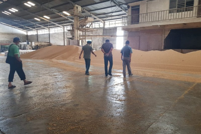 harga tahu tempe