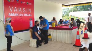 Lingga vaksin