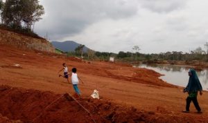reklamasi tambang di kepri