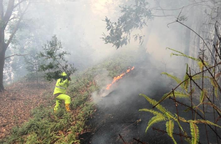 kebakaran di hutan bandara Hang Nadim Batam