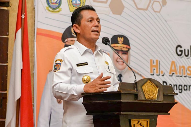 Gubernur Ansar Ahmad