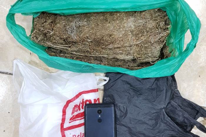 barang bukti ganja barang bukti ganja