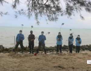 Lanud RSA tanam mangrove