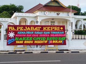 Insentif Tenaga Kesehatan Kepri
