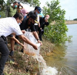 Wakil Kepala BP Batam
