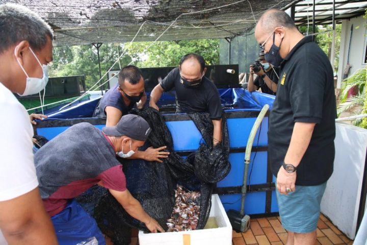 Wakil Kepala BP Batam