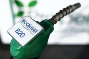 Harga Biodiesel 2021