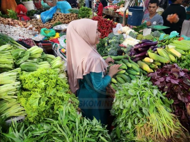 Gubernur Ansar Ahmad