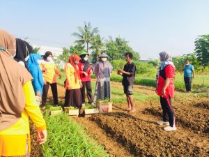 Karawang International Industrial City