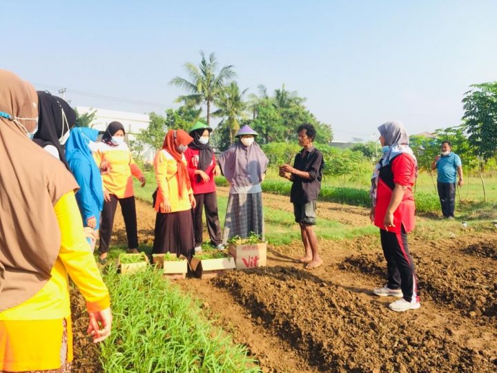 Karawang International Industrial City