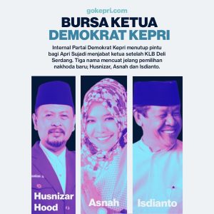 Ketua Demokrat Kepri