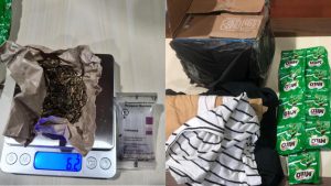 Barang bukti ganja seberat 6,2 gram di dalam kerah pakaian bekas jenis blazer. Barang bukti ganja seberat 6,2 gram di dalam kerah pakaian bekas jenis blazer.