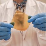 Perban antibakteri dari kulit durian