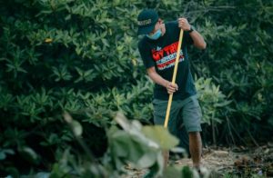 My Trip My Adventure Batam bersihkan hutan mangrove untuk pariwisata Batam.