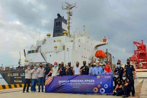 Ekspor Perdana Alumina