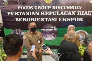 Ekspor sayur ke Singapura