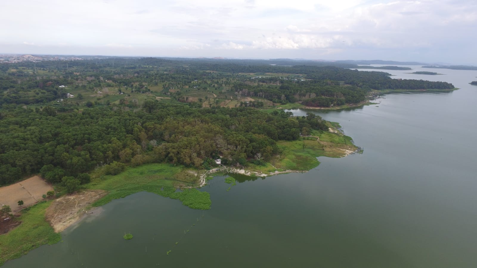 PT TDK Electronics Indonesia bekerja sama dengan Badan Pengusahaan (BP) Batam akan menanam pohon di Waduk Duriangkang.