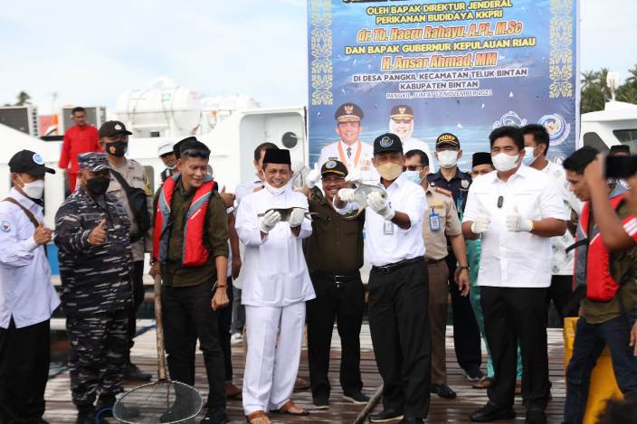 Gubernur Ansar ikut panen dan tebar benih ikan budidaya di Desa Pangkil, Kabupaten Bintan, Jumat 12 November 2021.