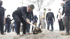 Wali Kota Batam, Muhammad Rudi tanam pohon di Pulau Putri
