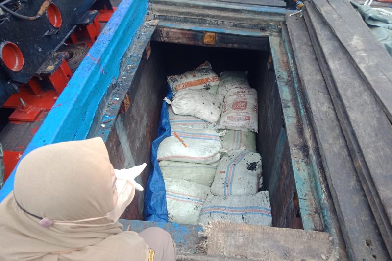 ekspor arang tempurung kelapa
