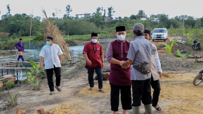 Budidaya ikan marok tua