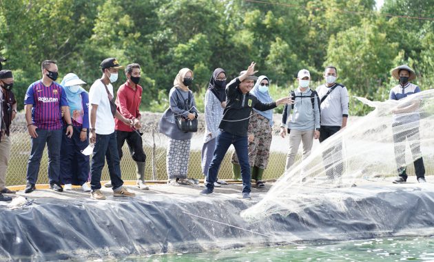 Lingga Budidaya Udang Vaname
