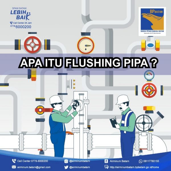 Flushing Pipa Air