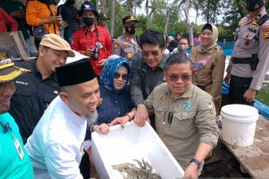 Karhutla di Riau