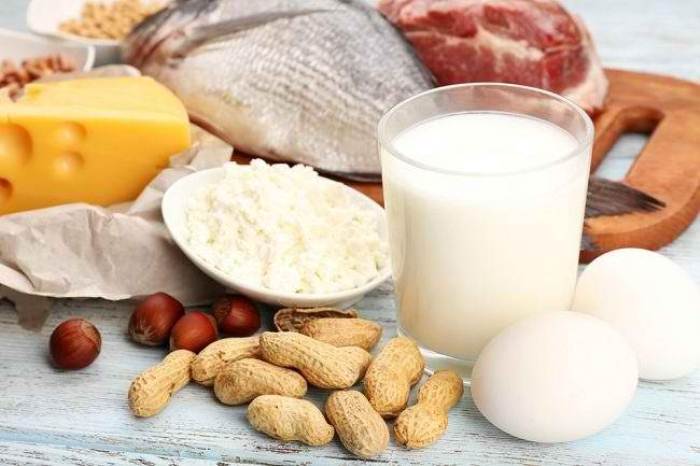 Protein penurun berat badan