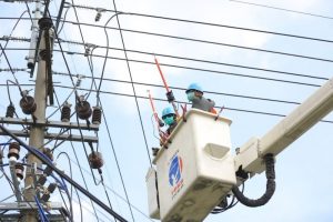 Laba PLN
