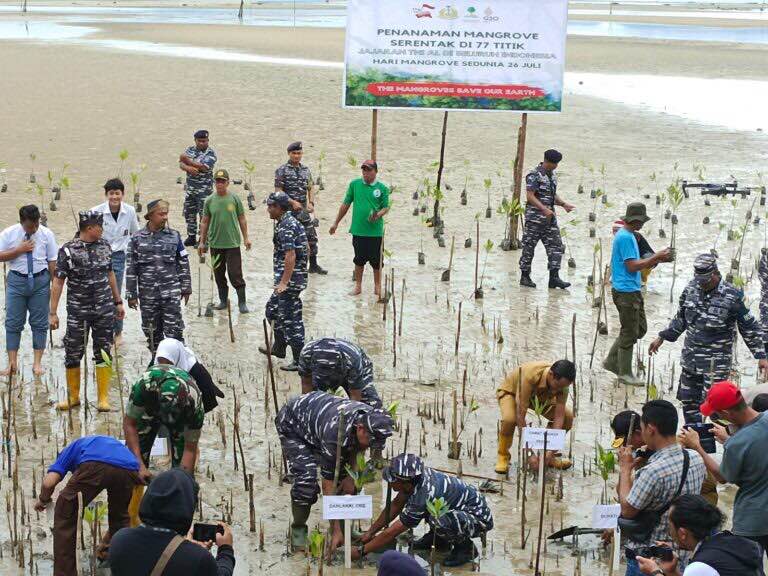 Hari Mangrove Sedunia