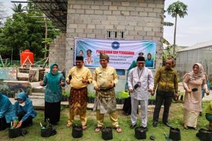 Lahan cabai di Kepri