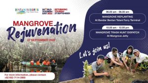 Bintan resorts mangrove