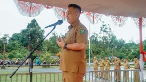 Bupati lingga Bupati lingga