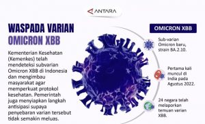 Infografis omicron XBB