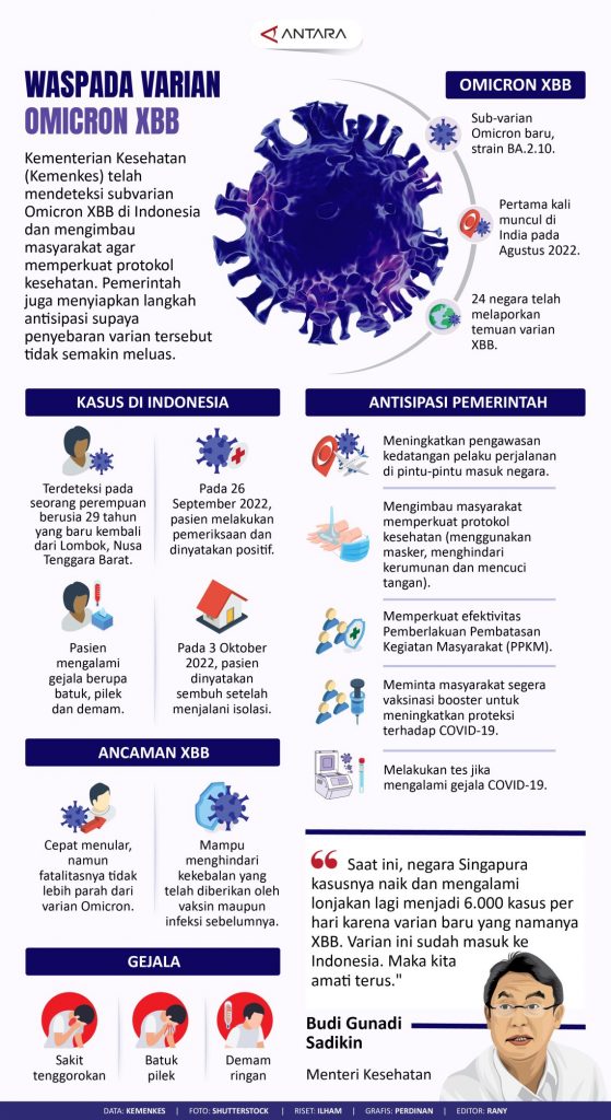 Infografis omicron XBB