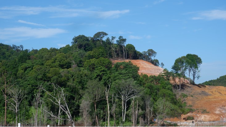 Hutan Kawasan Perdagangan bebas