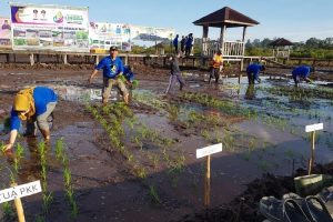 HUT 19 Kabupaten Lingga