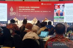 Wakil Kepala Sekretariat TF G20