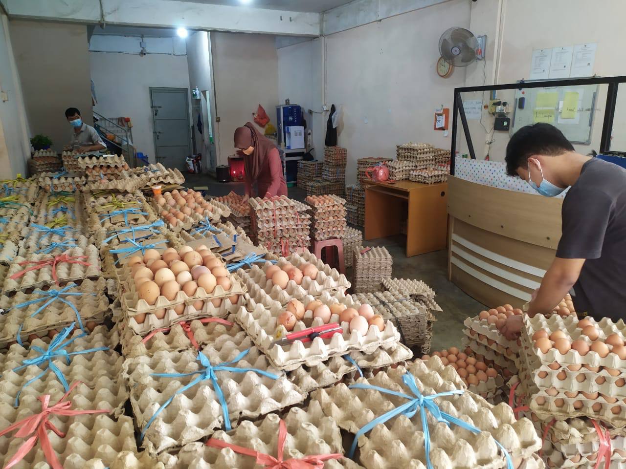 Harga telur ayam