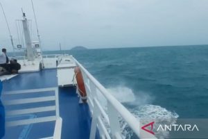 kapal roro tujuan natuna