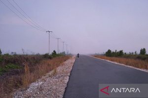 jalan buton-klarik natuna