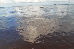 pantai trikora tercemar limbah