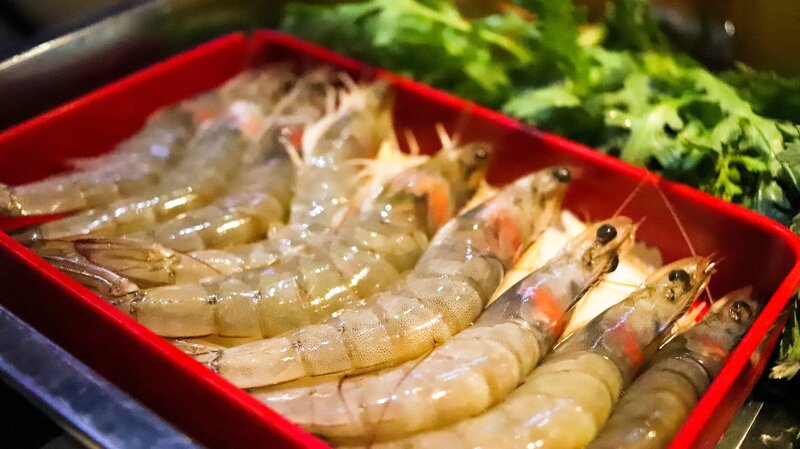makan udang awet muda