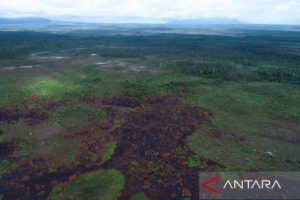 program lumbung jagung