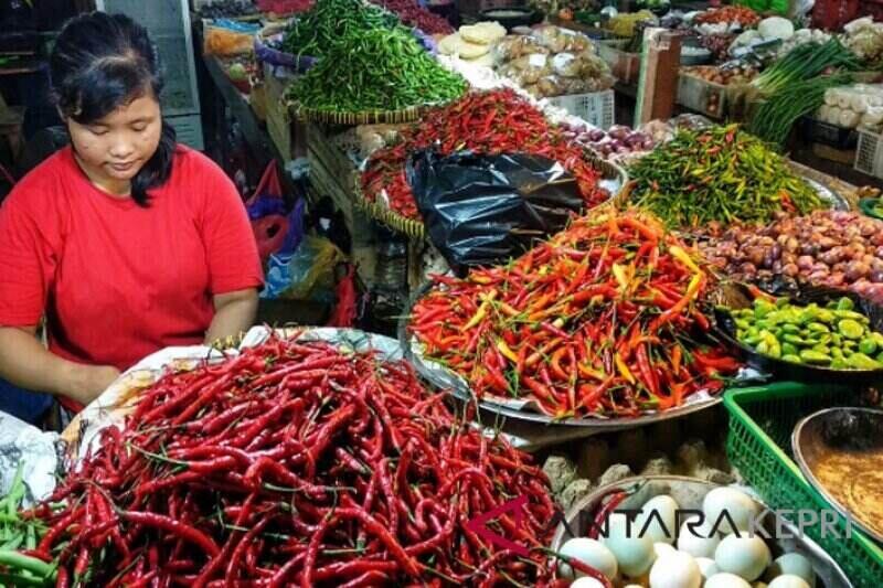 harga cabai di batam