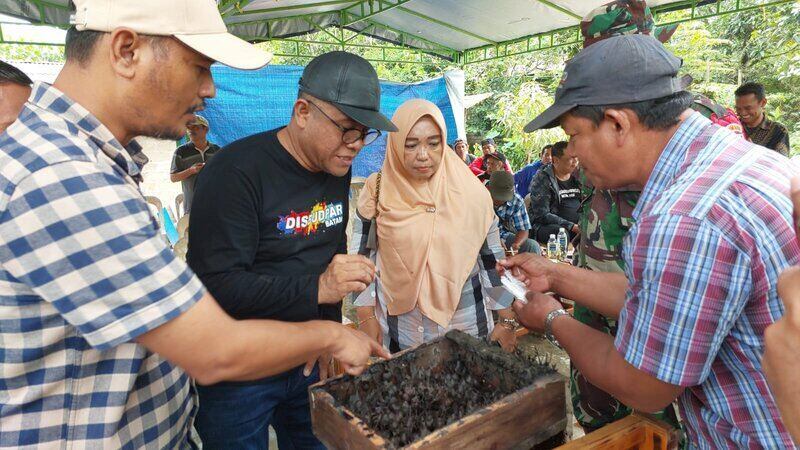 madu klanceng di batam